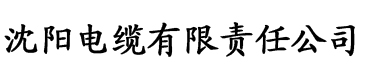 小青播放器电缆厂logo